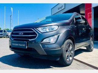 FORD ECOSPORT II 1.0 EcoBoost Business (2019)