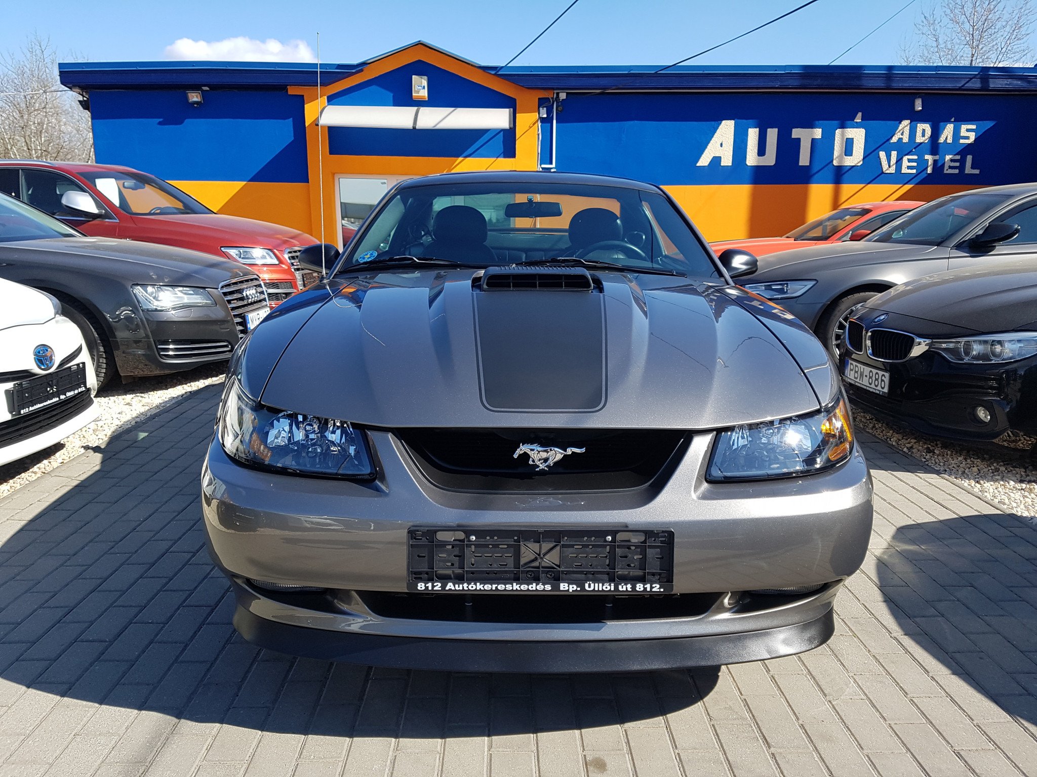 Mustang Autókereskedés Székesfehérvár